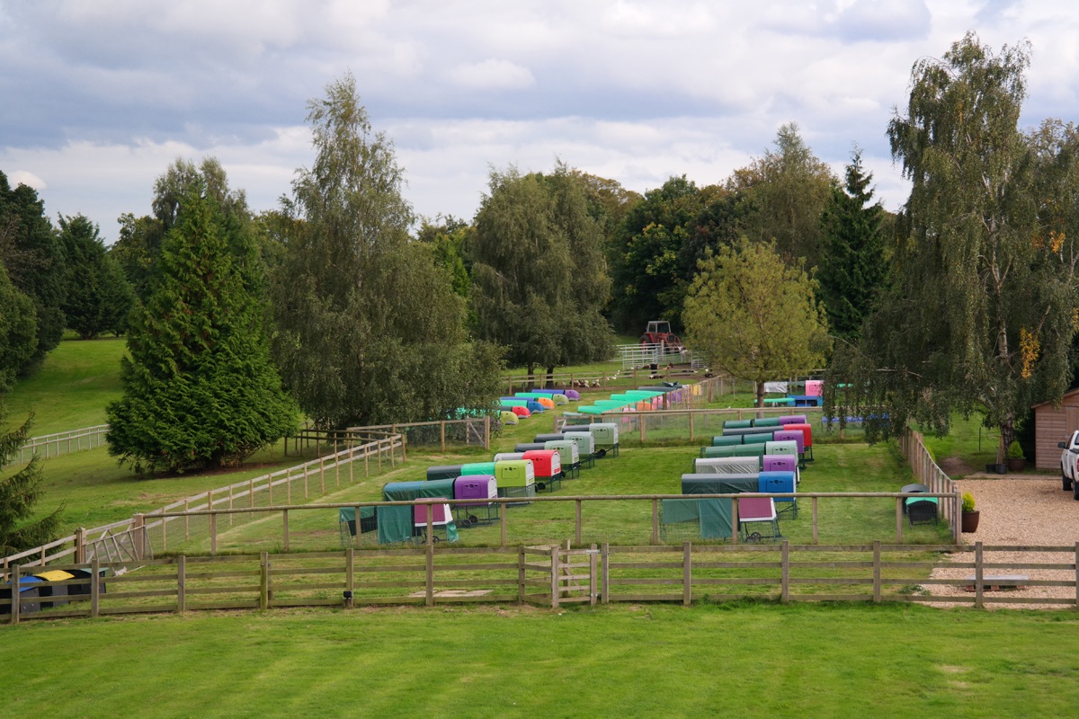 Our boarding houses with hens and alpacs in the distance